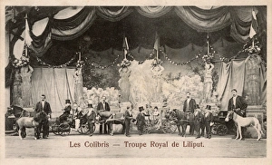 French Midget Entertainment Troupe - Les Colibris French Midget Entertainment Troupe - Les Colibris
