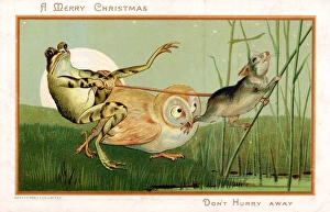 Frog, owl and mouse in moonlight on a Christmas card Frog, owl and mouse in moonlight on a Christmas card