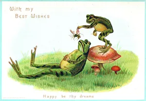 Wasps Gallery: Two frogs with insect on a greetings card