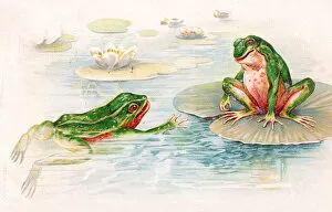 Anthropomorphism Gallery: Two frogs in lily pond on a postcard