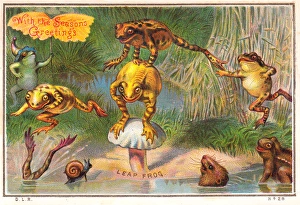 Frogs playing leapfrog on a Christmas card Frogs playing leapfrog on a Christmas card