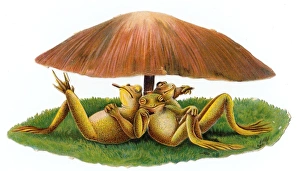 Three frogs under a toadstool on a Victorian scrap Three frogs under a toadstool on a Victorian scrap