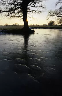 Frozen pond with back light, Church Eaton, Staffordshire
