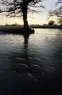 Frozen pond with back light, Church Eaton, Staffordshire Frozen pond with back light, Church Eaton, Staffordshire
