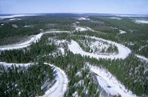 Russia Gallery: Frozen river meanders in Taiga-forest, a tributary
