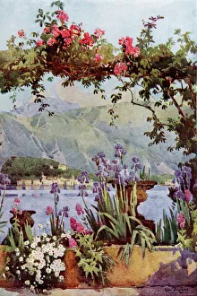 Glacial Gallery: Garden at Cadenabbia, Lake Como, Lombardy, Italy