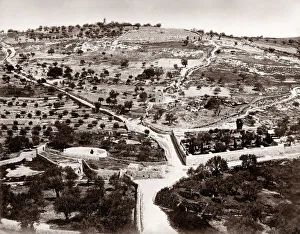 Garden of Gethsemane, Mount of Olives, Jersualem Garden of Gethsemane, Mount of Olives, Jersualem
