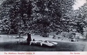 Prints of The Garden of the Middlesex Hospital, Mortimer Street, London. Date: 1909 Middlesex Prints: The Middlesex Hospital Garden Print, London 1909