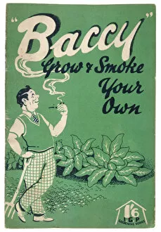 Tobacco Gallery: Gardening Book / Tobacco