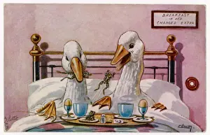<b class=qtipBold><figcaption>Geese in Bed</figcaption></b><br>A couple of geese breakfast in bed : their meal includes eggs, can they be cannibals ?<br><em>© Mary Evans Picture Library</em> Geese in Bed