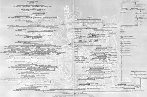 1953 Collection: Genealogical Table - Queen Elizabeth II