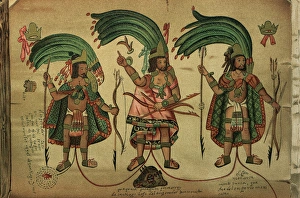 Phyllostomidae Gallery: Azteca Collection