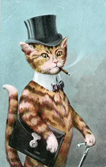 Briefcase Gallery: Gentleman cat in a top hat on a greetings postcard