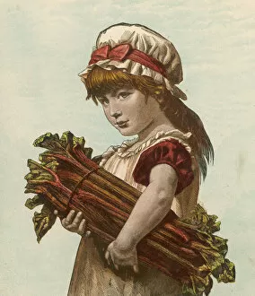 Girl with Rhubarb C1880