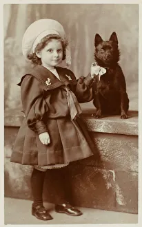 Schipperke (Utility, Dogs Domestic)