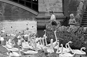 Girls with swans, River Thames, Windsor Girls with swans, River Thames, Windsor
