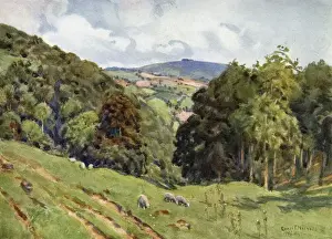 Prints of Gloucestershire scenery: May Hill Date: 1927 Gloucestershire Prints: May Hill Gloucestershire Scenic Print 1927