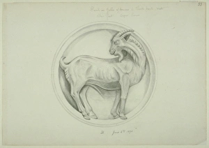 Goat design Goat design