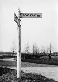 Essex Gallery: 