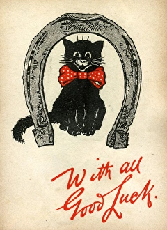 Good Luck card, black cat in a horseshoe Good Luck card, black cat in a horseshoe