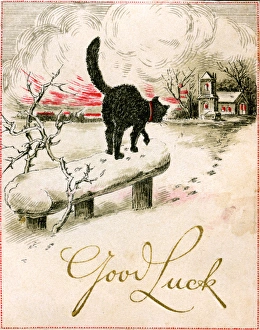 Good Luck Christmas card, cat in the snow Good Luck Christmas card, cat in the snow