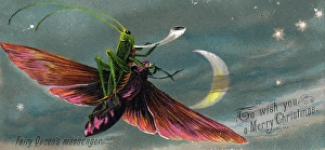 Grasshopper riding a moth on a Christmas card Grasshopper riding a moth on a Christmas card