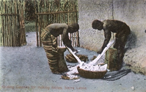 Related Images Gallery: Grating cassava roots, Sierra Leone, West Africa