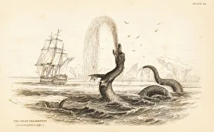 Great sea serpent seen off the coast of Greenland in 1734 Great sea serpent seen off the coast of Greenland in 1734