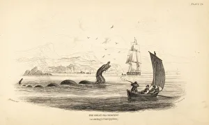 Great sea serpent shot at by the crew of Lawrence Great sea serpent shot at by the crew of Lawrence
