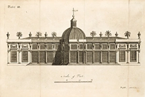 <b class=qtipBold><figcaption>Green-house</figcaption></b><br>Green-house. Copper-plate illustration from Richard Bradley, New improvements of planting and gardening, both philosophical and practical. Plate III. Date: 1739<br><em>© The John Innes Centre/The John Innes Foundation/Mary Evans</em> Green-house