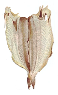 Greetings card in the shape of filleted white fish Greetings card in the shape of filleted white fish