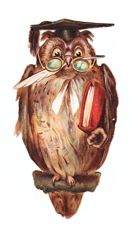 Greetings card in the shape of an owl Greetings card in the shape of an owl