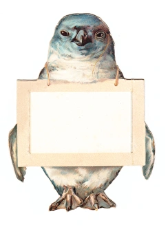 Greetings card in the shape of a penguin Greetings card in the shape of a penguin