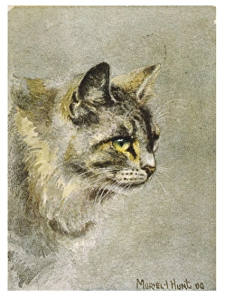 <b class=qtipBold><figcaption>Grey Cat Ready to Pounce</figcaption></b><br>A grey cat stares intensely at its intended prey.<br><em>© Mary Evans Picture Library</em> Grey Cat Ready to Pounce