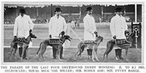 Race Collection: Four Greyhound Derby winners