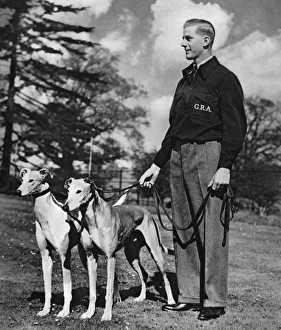 Go Greyhound Racing at White City, 1939 Go Greyhound Racing at White City, 1939