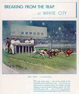 Course Collection: Greyhound Racing at White City