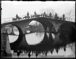 Breeds Gallery: Greyhounds on a Bridge