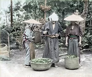 New Images May Gallery: Group of farm workers, Japan circa 1880s. Date: circa 1880s