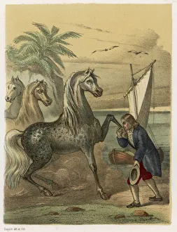 <b class=qtipBold><figcaption>Gulliver/Houyhnhnnms</figcaption></b><br>The Houyhnhnm graciously permits Gulliver to kiss his hoof.<br><em>© Mary Evans Picture Library</em> Gulliver/Houyhnhnnms