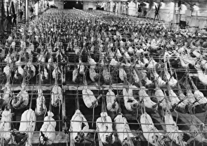 Hangar deck of HMS Illustrious Hangar deck of HMS Illustrious