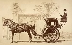 Images Dated 21st July 2011: HANSOM CAB