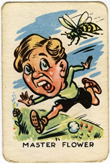 Wasps Gallery: Happy Familes Playing Cards - Master Flower