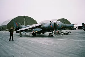 Falkland Gallery: Harrier at RAF Stanley