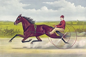 Harry Wilkes by George Wilkes - dam Molly Walker by Capt. Wa Harry Wilkes by George Wilkes - dam Molly Walker by Capt. Wa