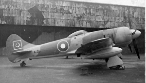 Related Images Gallery: Hawker Tempest II, A135, of the Pakistan Air Force