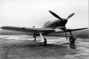 Hawker Typhoon first prototype P5212 in its original form Hawker Typhoon first prototype P5212 in its original form