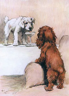 Coupe Gallery: Heres How by Cecil Aldin