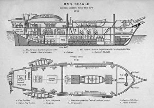 <b class=qtipBold><figcaption>Hms Beagle/Darwin's Ship</figcaption></b><br>HMS Beagle Charles Darwin's research ship<br><em>© Mary Evans Picture Library 2015 - https://copyrighthub.org/s0/hub1/creation/maryevans/MaryEvansPictureID/10013743</em> Hms Beagle/Darwin's Ship