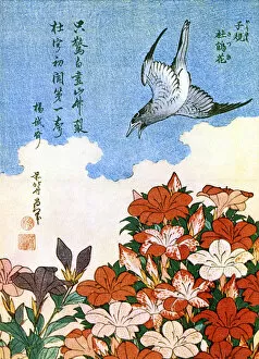 Hokusai Gallery: Hokusai woodcut - Cuckoo and Azalea